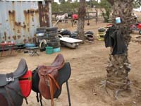 /international/2006Walvisbay/images/Stabling/thumbnails/walvis2 051.jpg
